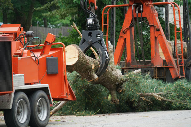 Best Grass Overseeding  in Clintondale, NY